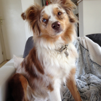 Photo #267531 de India