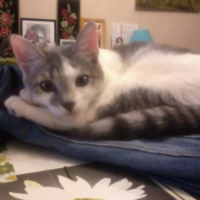 Photo #267616 de blackou