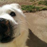 Photo #267723 de Alaska