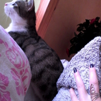 Photo #267919 de Framboise 