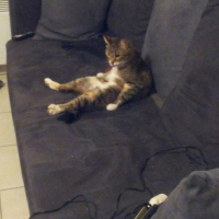Photo #267929 de Chona
