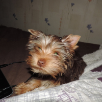 Photo #268068 de jayna
