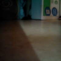 Photo #268233 de Adonisse 