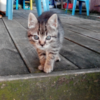 Photo #268349 de POPI