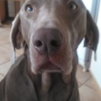 Photo #268415 de Happy