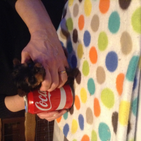 Photo #268439 de Poupette