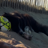 Photo #268447 de Bootsie