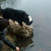 Photo #268631 de haidi
