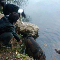 Photo #268632 de haidi