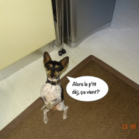 Photo #268759 de RAJ