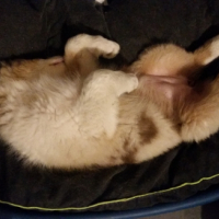 Photo #268807 de Milka