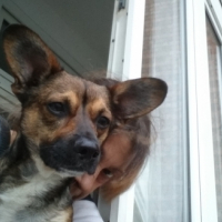 Photo #268877 de Woody