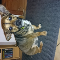 Photo #268884 de Woody