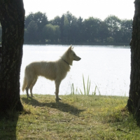 Photo #268887 de Loki