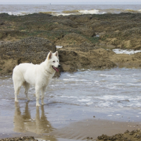 Photo #268889 de Loki