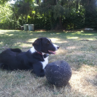 Photo #269045 de Kali