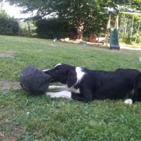 Photo #269047 de Kali