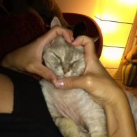Photo #269073 de SHANTI