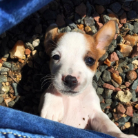 Photo #269143 de Monette