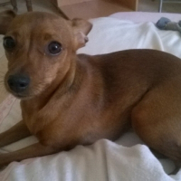 Photo #269238 de Stella
