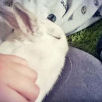 Photo #269302 de Cerise