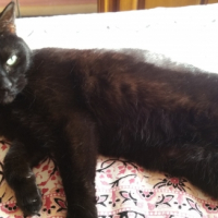 Photo #269394 de Baguerra 