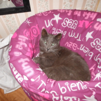 Photo #269504 de Oliver