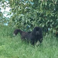 Photo #269612 de Jango