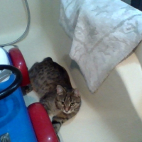 Photo #269635 de Mina