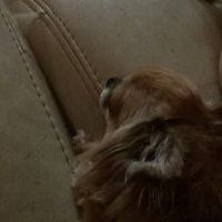 Photo #269651 de Djimini