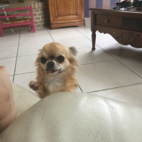 Photo #269655 de Djimini