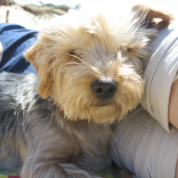 Photo #270000 de BOB