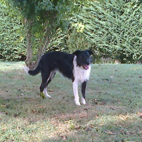 Photo #270004 de IRKA