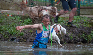 Passage du gué à Arque La bataille 2015 - Jack Russell Terrier