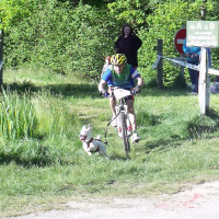 CaniVTT en creuse