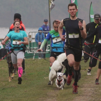 Harry passant sous deux chiens qui se battent lors du Trophée de Vendée 2015