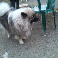 Photo #270256 de cyska
