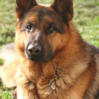 Photo #270270 de Hyago