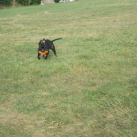 Photo #270458 de Joy