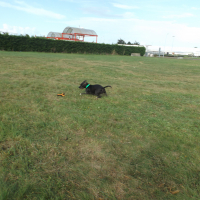 Photo #270467 de Joy