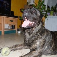 Photo #270518 de Gahna