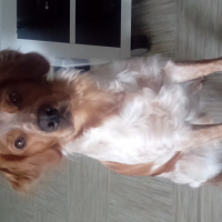 Photo #270521 de jecko