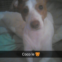 Photo #270623 de Corneil