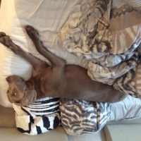 Photo #270756 de Inouie