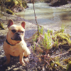 Photo #270760 de Inka