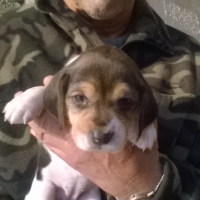 Photo #270769 de lady