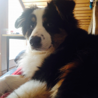Photo #270829 de Jeneka