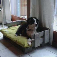 Photo #270830 de Jeneka