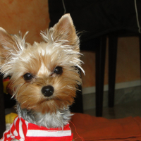 Photo #270834 de MAGY