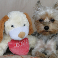 Photo #270835 de MAGY